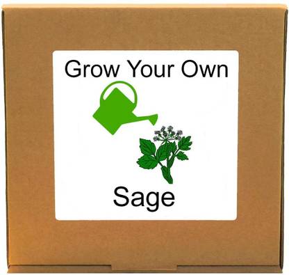 VibeX ™ MXI-69-Grow Your Own Fresh Sage – Indoor Herbs Growing Kit Seed