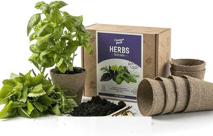 VibeX ™ RDX-257-Grand Herb Seed Box Kit Seed