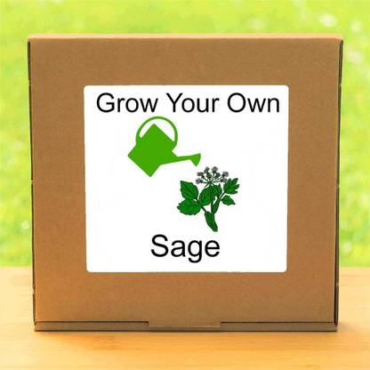 VibeX ® LXI-72-Sage – Indoor Herbs Growing Kit Seed