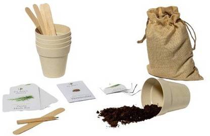 VibeX ™ VXI-239-Grow Your Zesty Herb Kit Seed