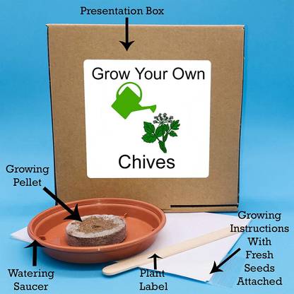 VibeX ® MXI-90-Chives – Indoor Herbs Growing Kit Seed