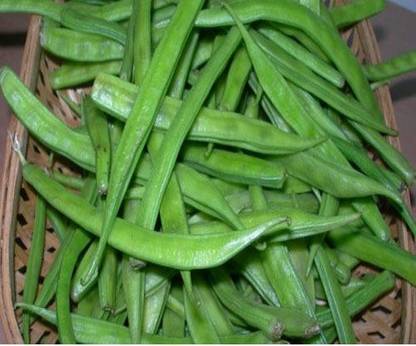 Mozette Cluster beans Seed
