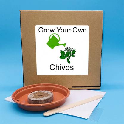 VibeX ™ RDX-89-Fresh Chives – Indoor Herbs Growing Kit Seed