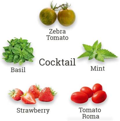 VibeX ™ XII-231-Grow Cocktail Garden Kit Seed
