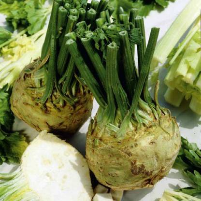NurseryServe Celeriac Vegetable Seeds Seed