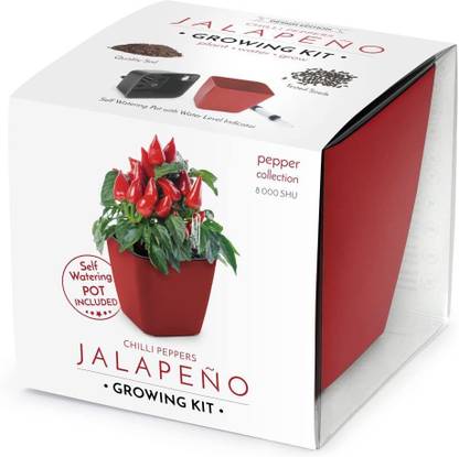 VibeX ® XXX-262-Jalapeno Growing Kit Seed