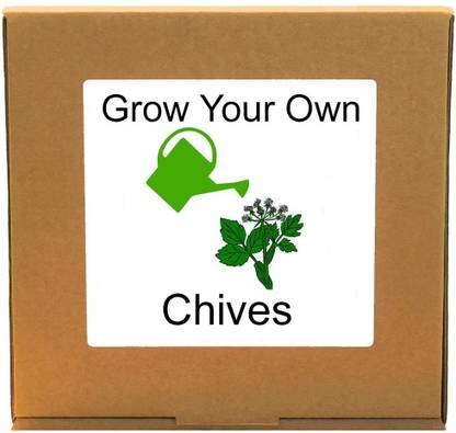 VibeX ® RPG-88-Grow Your Own Fresh Chives – Indoor Herbs Growing Kit Seed