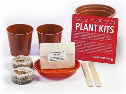 DIOART ™ XXX-143-Grow Your Own Serrano Pepper Plant Kit Seed