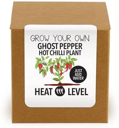 VibeX ® XII-112-Ghost Pepper Plant Kit Seed