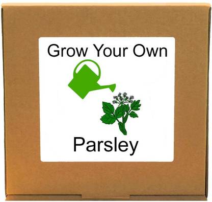VibeX Grow Your Own Fresh Parsley – Indoor Herbs Growing Kit Seed