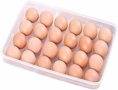 PAYTON Plastic Egg Container  - 2 dozen