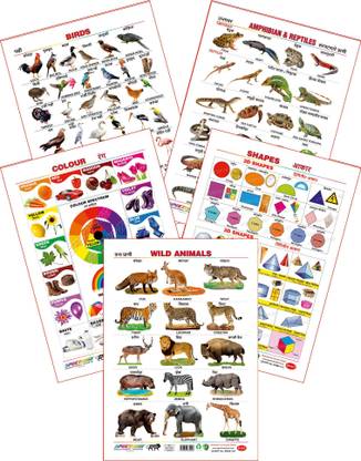 Spectrum Educational Large Wall Charts (Set of 5) : ( Amphibians & Reptiles, Birds, Colours, Shapes & Wild Animals ) (English & Marathi Language)