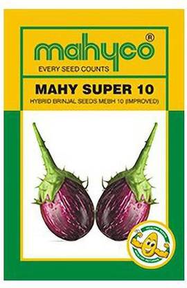 Mahyco Hybrid Brinjal Seed