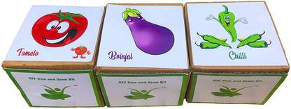 VibeX Tomato,Brinjal & Chilli Seed