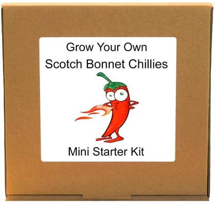 VibeX Grow Your Own Scotch Bonnet Hot Chillies Plant Kit Seed