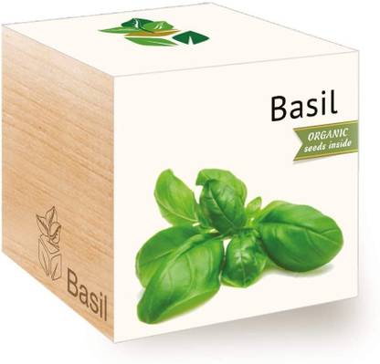 VibeX -Basil Complete Growing Kit Seed