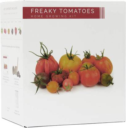 VibeX Funky Veg Kit – 5 Extraordinary Vegetables to Grow Seed