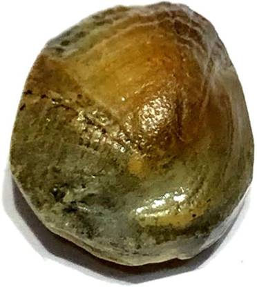 RAM RATAN KENDRA Very Rare 5.50CT MACH MANI(SEA Stone 1 Gram) with Lab Certificate Stoneware Yantra