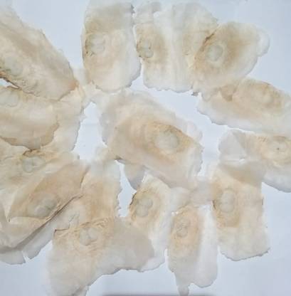 Pioneer Natural Oroxylum indicum, Shyonaka Seed