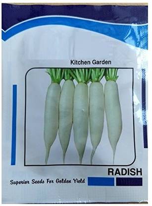 VibeX LXI-393 Kitchen Garden Radish seeds Seed