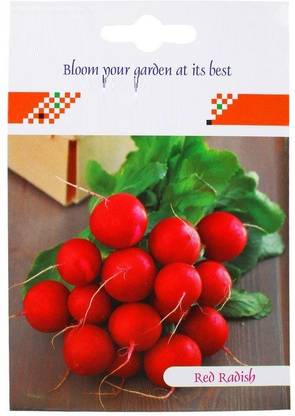 VibeX ™ RDX-544 Radish Red Round Veg Seeds Seed