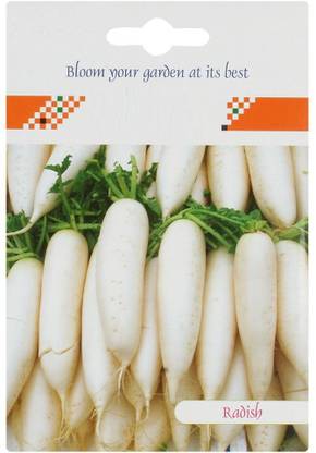 VibeX RADISH SEEDS Seed