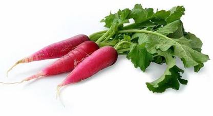 VibeX GBPUAT-653 Red Radish Seeds Seed