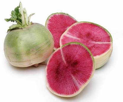 VibeX XII-174 Watermelon Radish Vegetable Seeds Seed