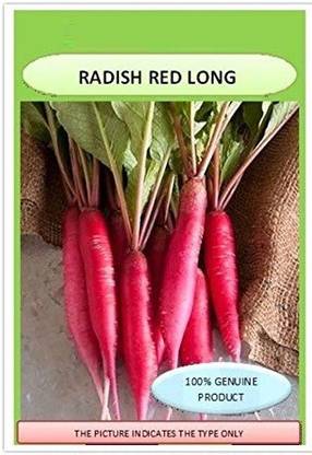 VibeX ™ LXI-96 LONG ORGANIC REDDISH RED F1 HYBRID SEEDS Seed