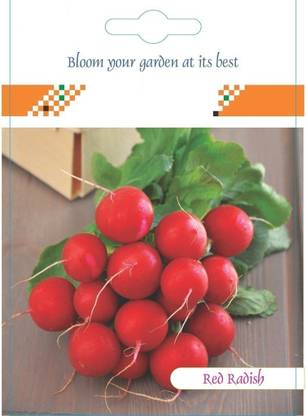 VibeX ® AFC-297 Radish Vegetable Seeds (Red) Seed