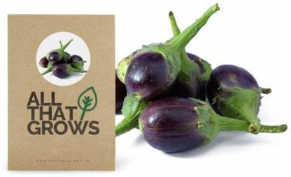 VibeX ® GBPUAT-374-Brinjal, Cluster Small Eggplant Vegetable Seed Seed