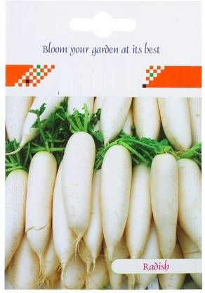 VibeX ® HAU-531 Radish Long White Veg and Seed