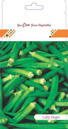 VibeX ™ VXI-73-Bhindi F1 Hybrid Seed
