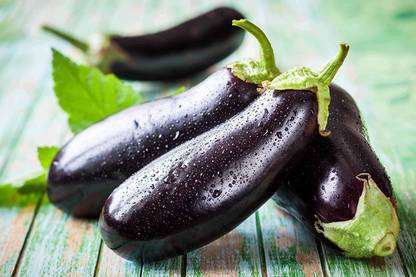 VibeX Brinjal Seed