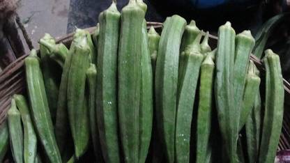 SEDRO ® PUSA-1024-Fast Grow OKRA/VENDAKAI/VENDAKA SEEDS Seed