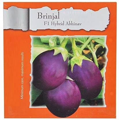 VibeX ™ HAU-571-Brinjal F1 Hybrid Abhinav-VB721 Seed