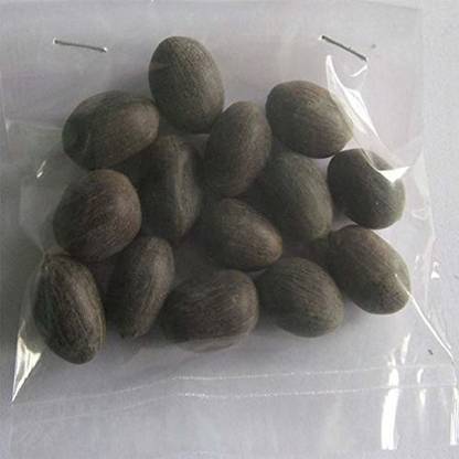 VibeX ® CBZ-1167 Mini Lotus Seeds Bonsai Seeds Set Hydrophyte Seed