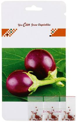 VibeX ™ KGF-391-Seeds Brinjal F1 Hybrid Round 3 in 1 Seed