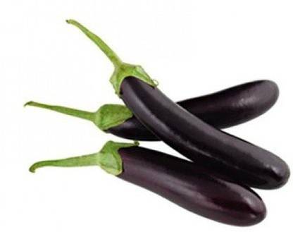 Qualtivate ™ Vegetable Seeds Long brinjal, lambe began baingan Seed