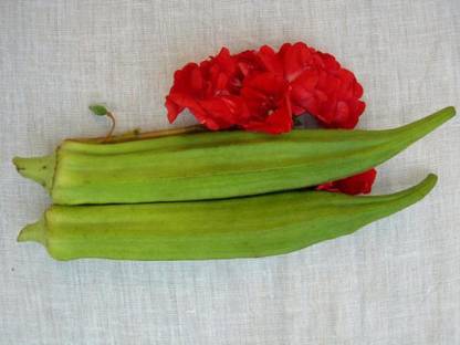 VibeX Okra seeds Seed