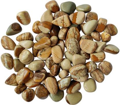 Shubhanjali Picture Jasper Tumbled Stone 50 Gram Regular Asymmetrical Crystal Stone