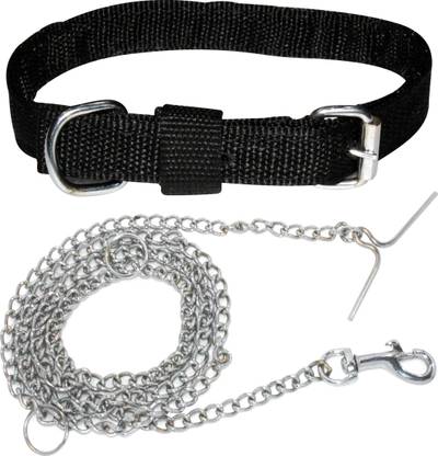 ADIOS Dog Belt Combo for Small Dogs & Puppies Dog Collar & Chain