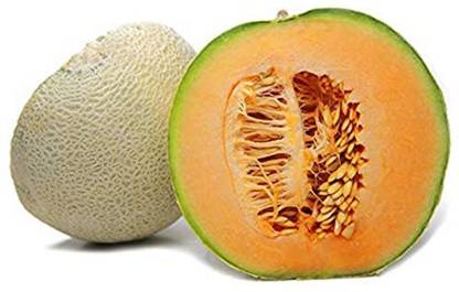 PMB Kharbooza (muskmelon) Seed