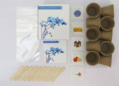 Quinergys XXX-206-Edible Flower Kit Seed