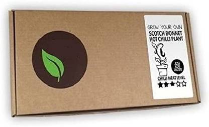 Quinergys XXX-115-Scotch Bonnet Hot Chilli Plant - Mini Kit Seed