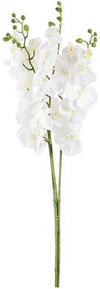 LADDU GOPAL Artificial Decorative Real Touch Orchid Flower Sticks (95 cm, Set of 2) White Orchids Artificial Flower