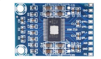 Diycart TPA3116D2 Digital Amplifier Board (50W + 50W Dual Channel Stereo) Class D Audio DC 12-24V Electronic Components Electronic Hobby Kit