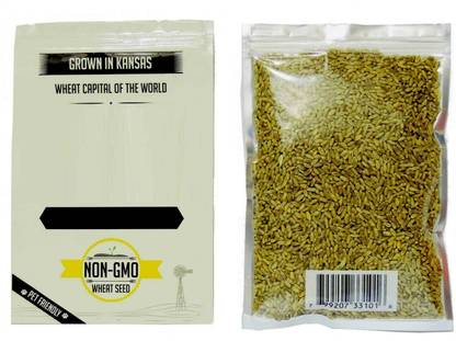 DIOART ® IARI-510 Wheat Grass Seeds for sprouting Humans and Pets Seed