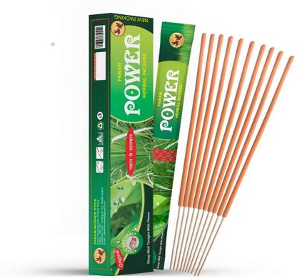 PARAM Power 120 Citronella Incense Sticks Mosquito Repellent Agarbatti - Herbal and Natural (Pack of 1 Boxes x 12 Pouches x 10 Sticks per Pouch= 120 Sticks) Natural