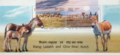 A TO Z CRAFTS Wild Ass kiang ladakh and ghor khar stamp collection Stamps